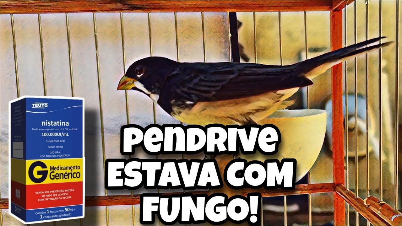 o que ACONTECEU, qual foi o nosso DIAGNÓSTICO, qual foi o TRATAMENTO e o RESULTADO.