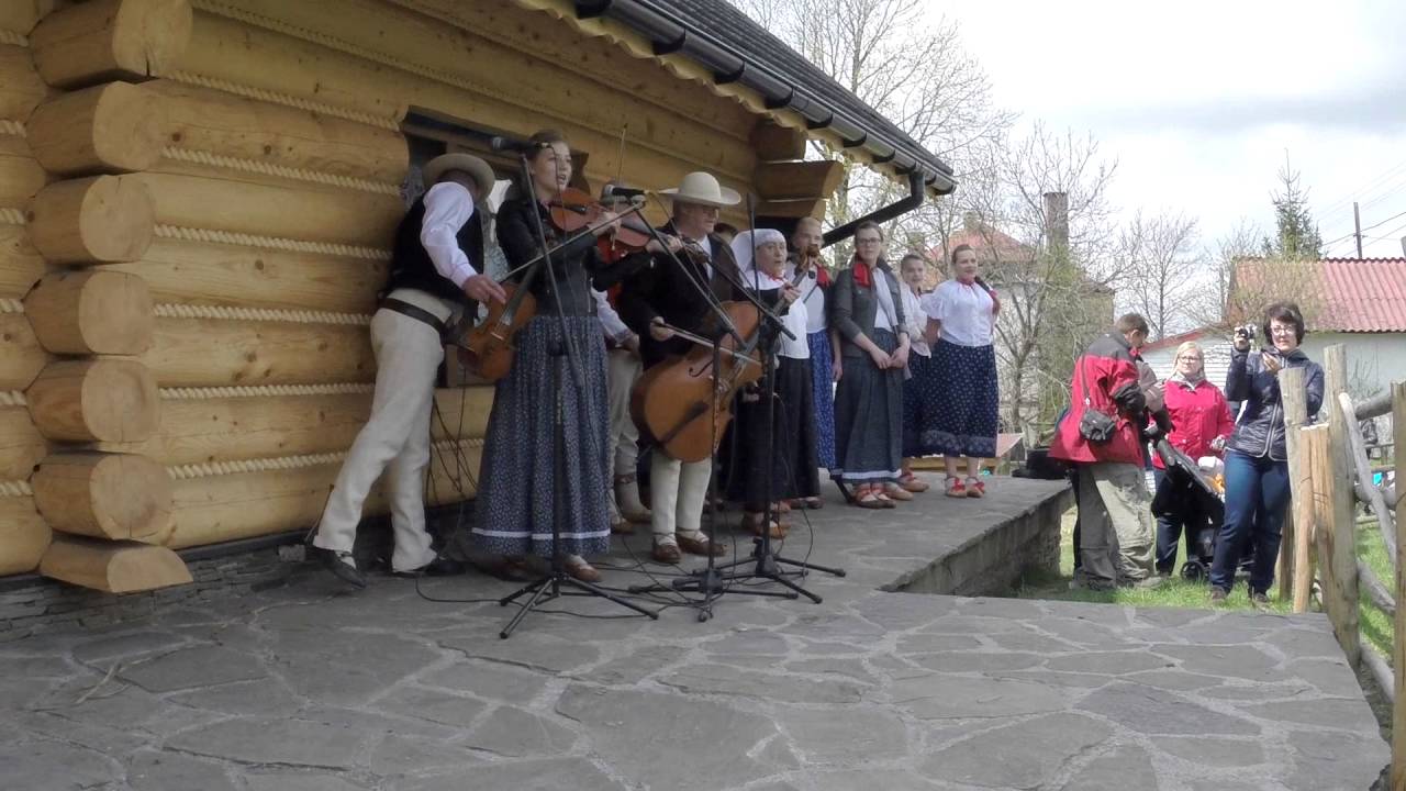 Koniaków Mieszanie owiec 02 05 2016