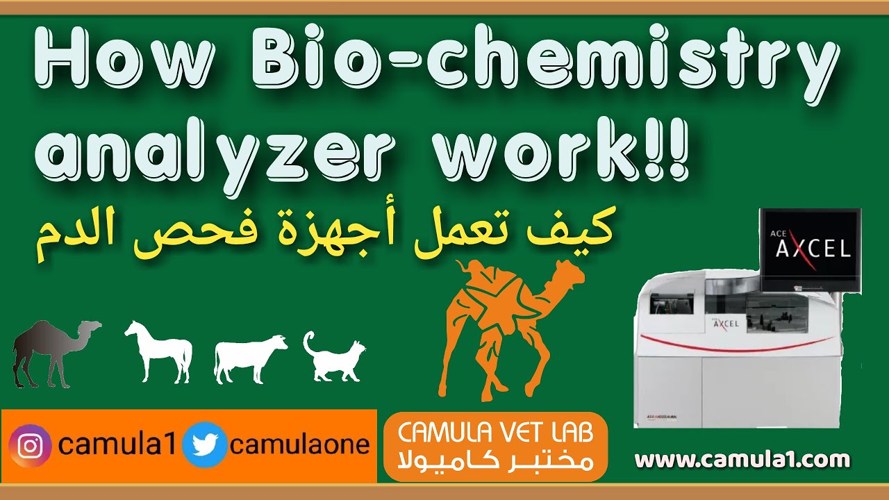 How Bio-Chemistry analyzer works. كيف تعمل أجهزة فحص الدم