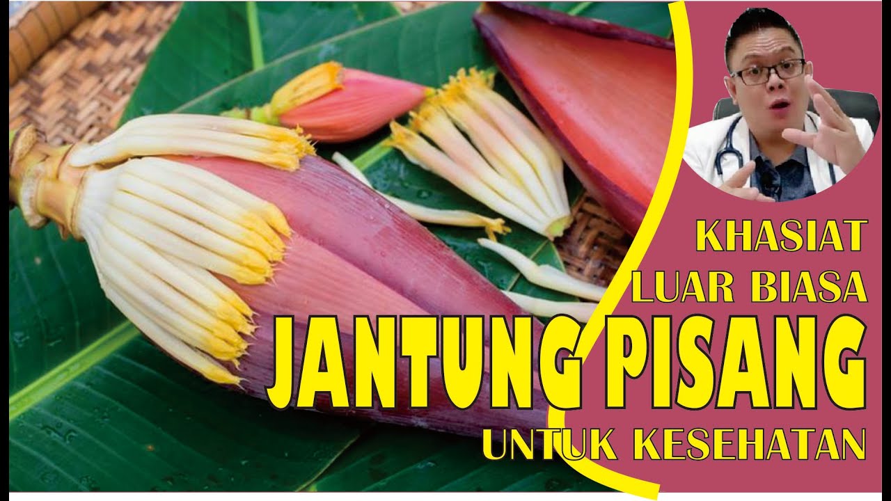 KHASIAT JANTUNG PISANG UNTUK KESEHATAN