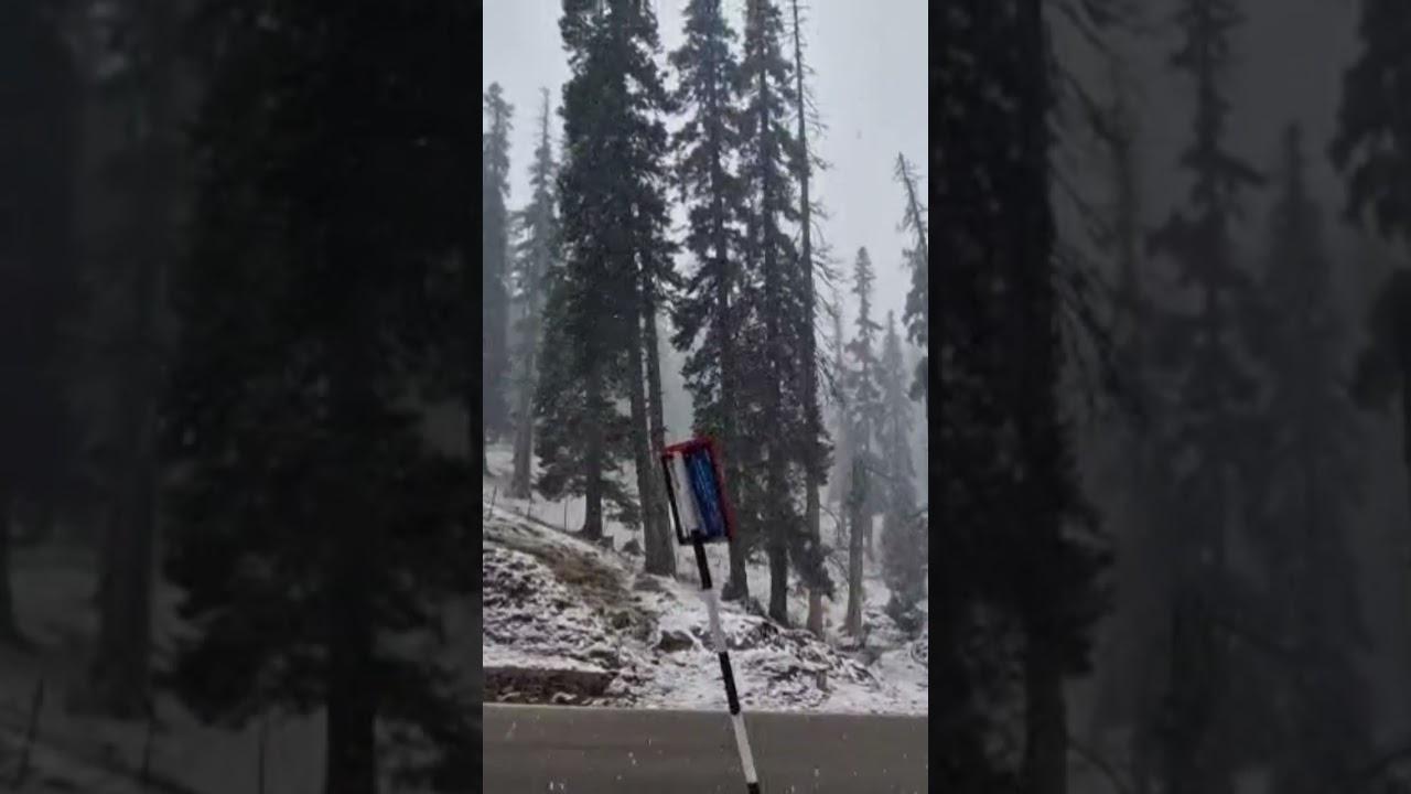 Gulmarg #  first snowfall 2026 