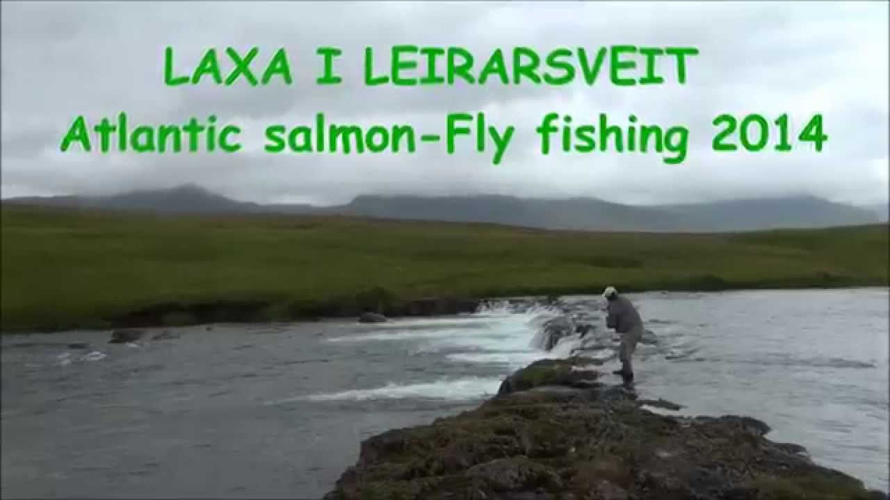ICELAND - LAXA i LEIRARSVEIT - Fly Fishing - Atlantic Salmon