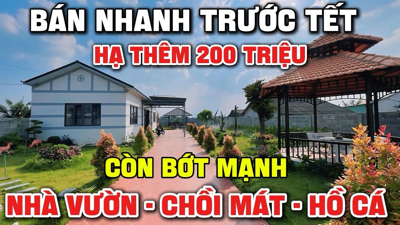 Tập 266 Hạ Thêm 200 Triệu Bán Trước Tết | Nhà Vườn Long An 900m2 Đất Full Thổ Cư Được Giá Là Bán !!!