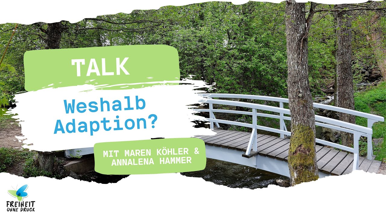 Weshalb Adaption?