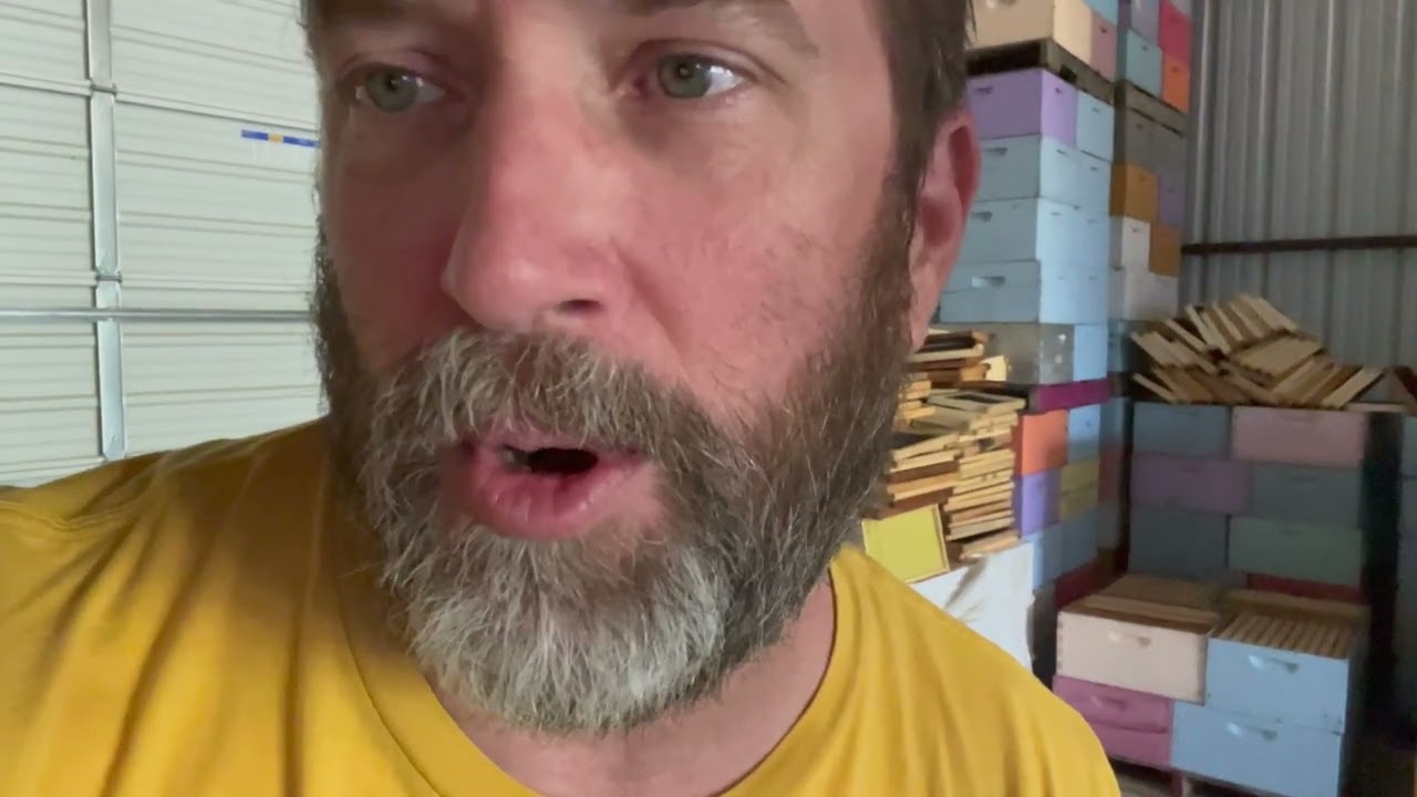 Show me the Honey! July and August happenings at HQ the bosses vlog while the workers  keep the bees