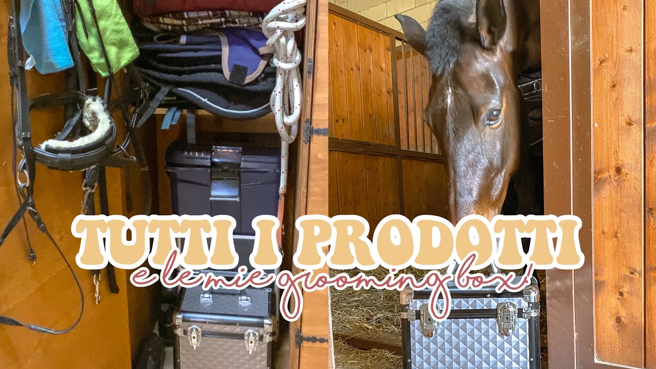 TUTTE LE MIE COSE PER CAVALLO 🥰