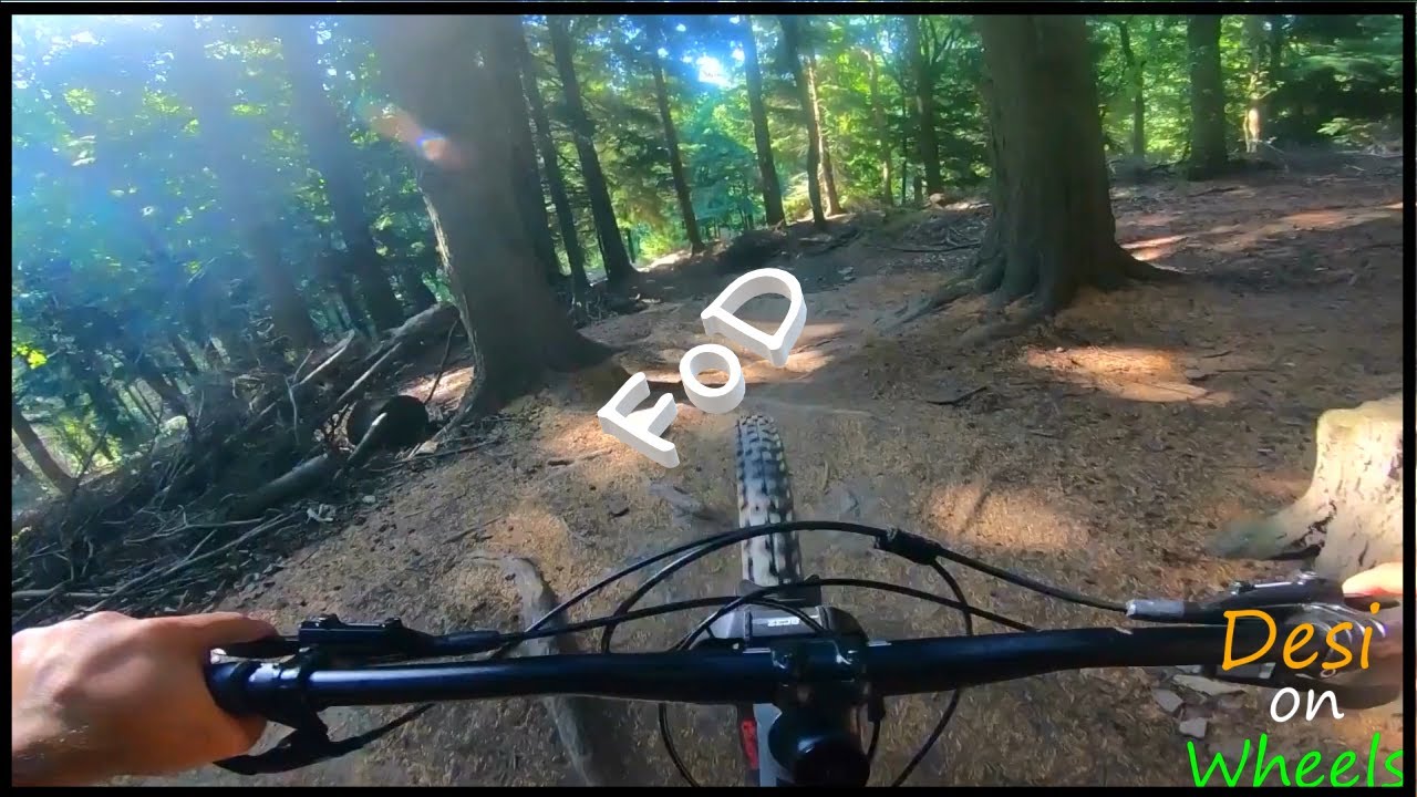 ⚓Forest of Dean is Nxt Level goOD ⚓