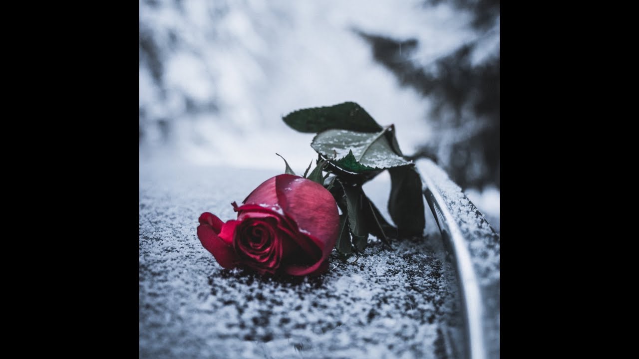 Terk Pnek Stev (JinN) + Som Jut Terk Pnek + ss jas ery b somtus (s.O) VIP Sad 2k25 💔