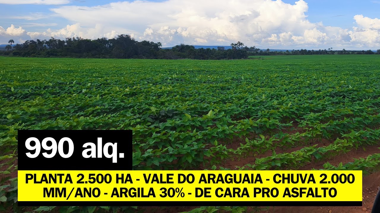 [ VALE DO ARAGUAIA ] PLANTA 2.500 HA - SAFRA E SAFRINHA - CHUVA 2.000 MM/ANO - R$ 110 MILHÃO