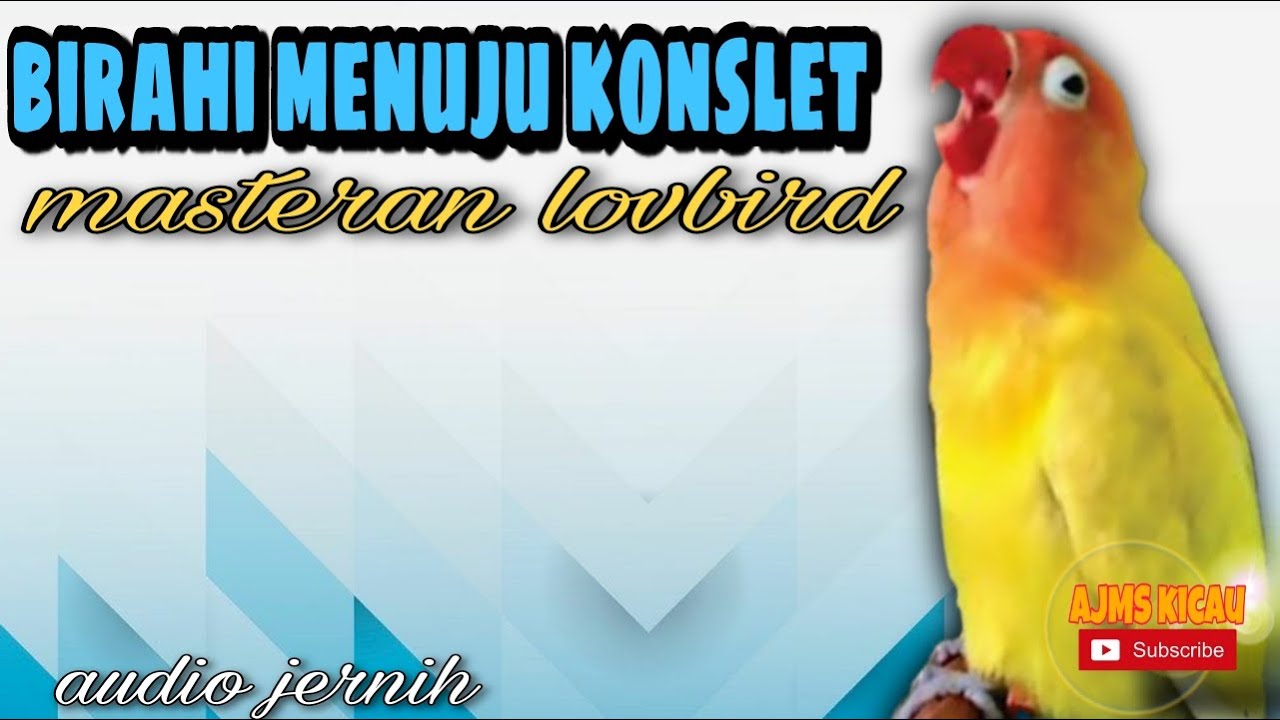 masteran lovebird menuju konslet - audio jernih