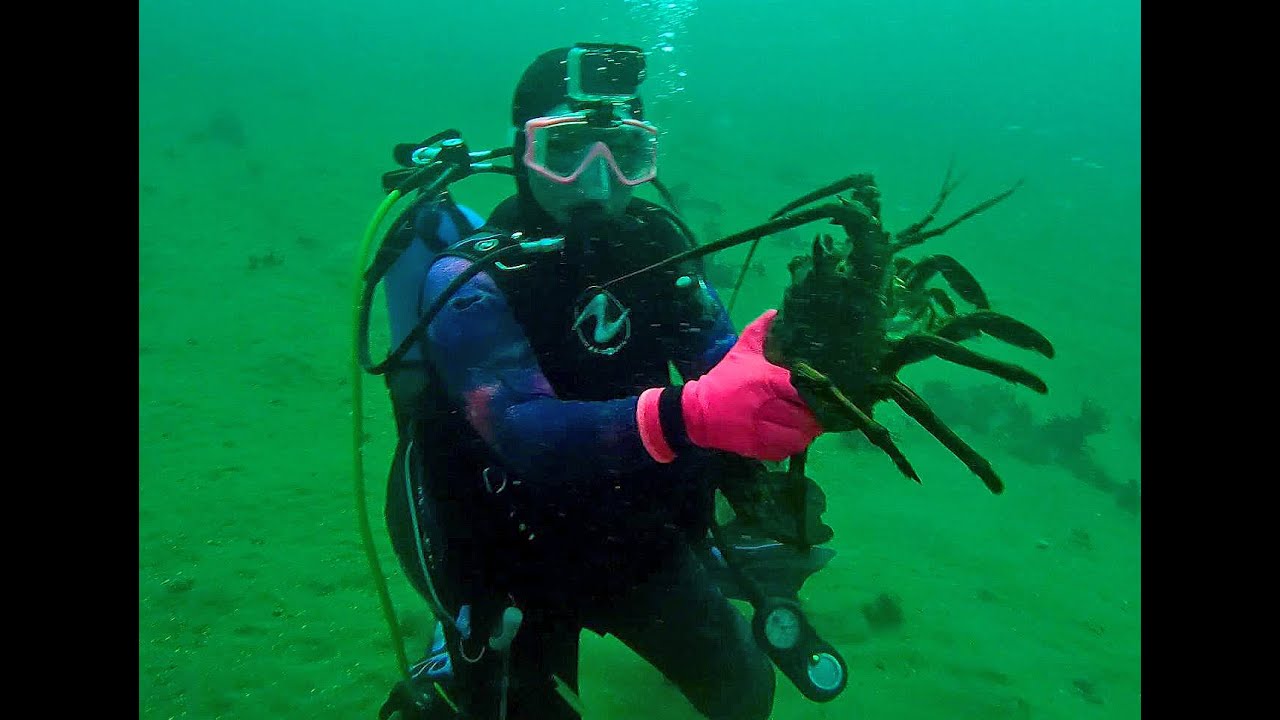 Dive Conditions 01 24 2026