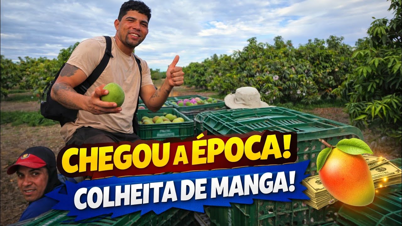 Dia a dia na empresa 