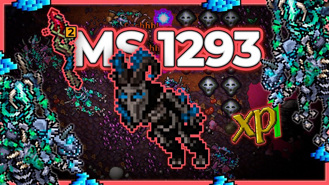 MS 1293 Hunt x4 Outer Crypt (No Charms) 11kk/h Raw + 3kk Profit - Tibia Hunt [15.23]