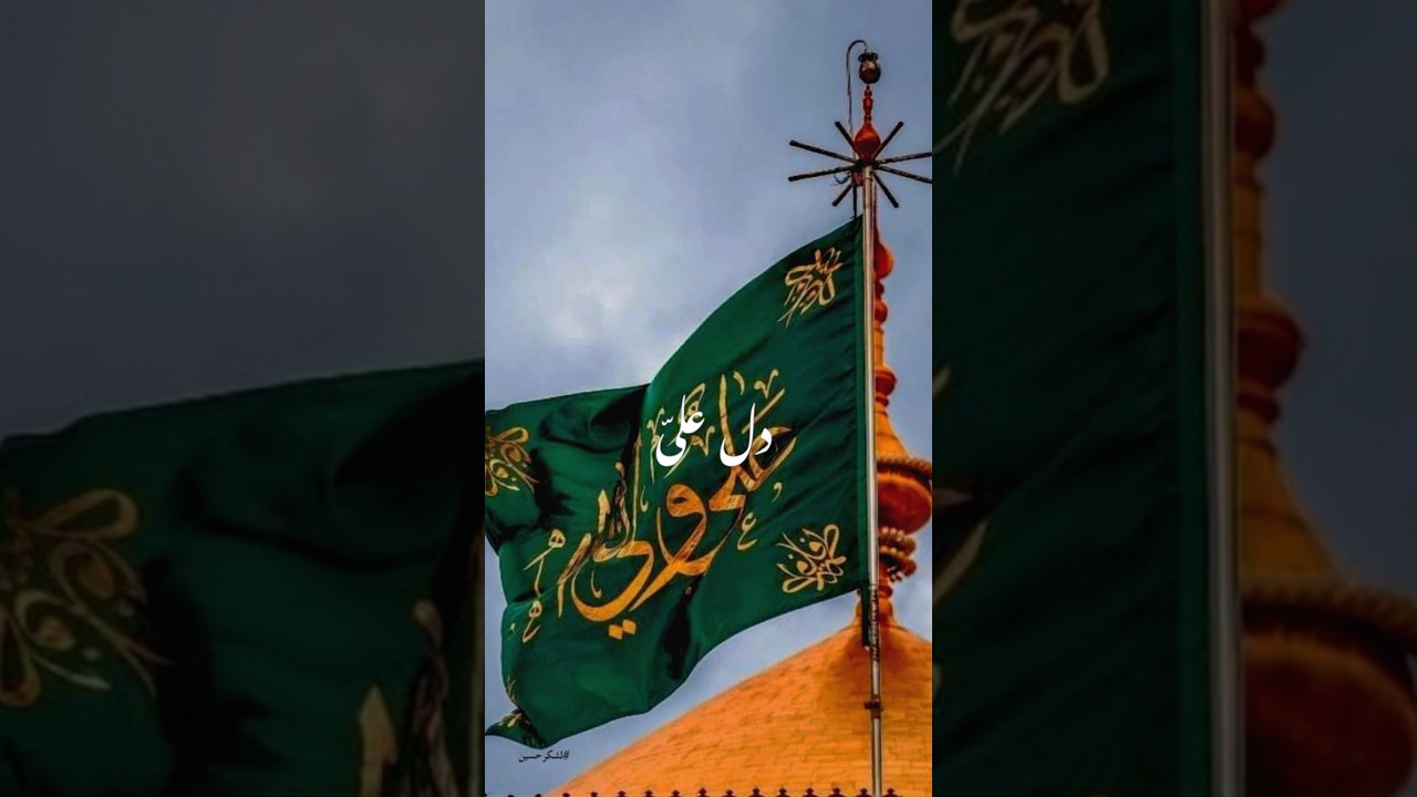 Shia Sunni ❤️&mdash; Ek Ummat, Ek Ali (A.S) ❤️