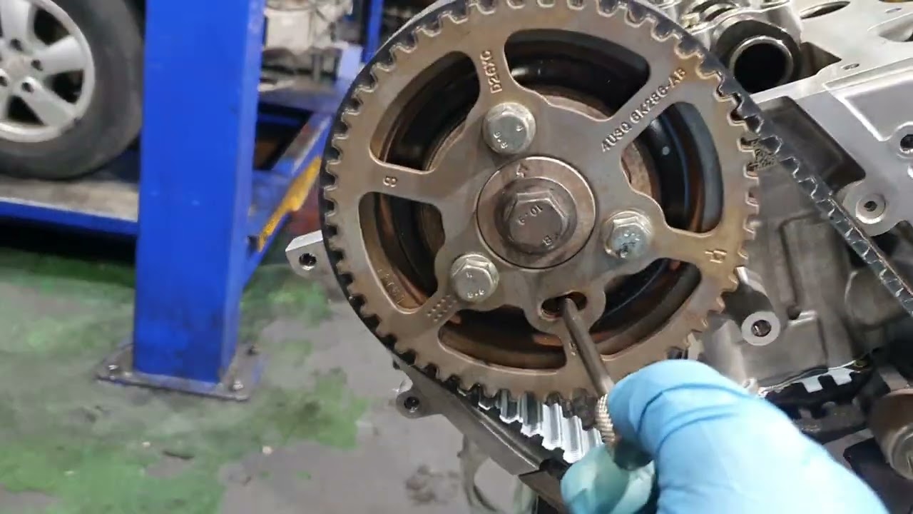 랜드로버 306dt 타이밍벨트. landrover 306dt timing belt