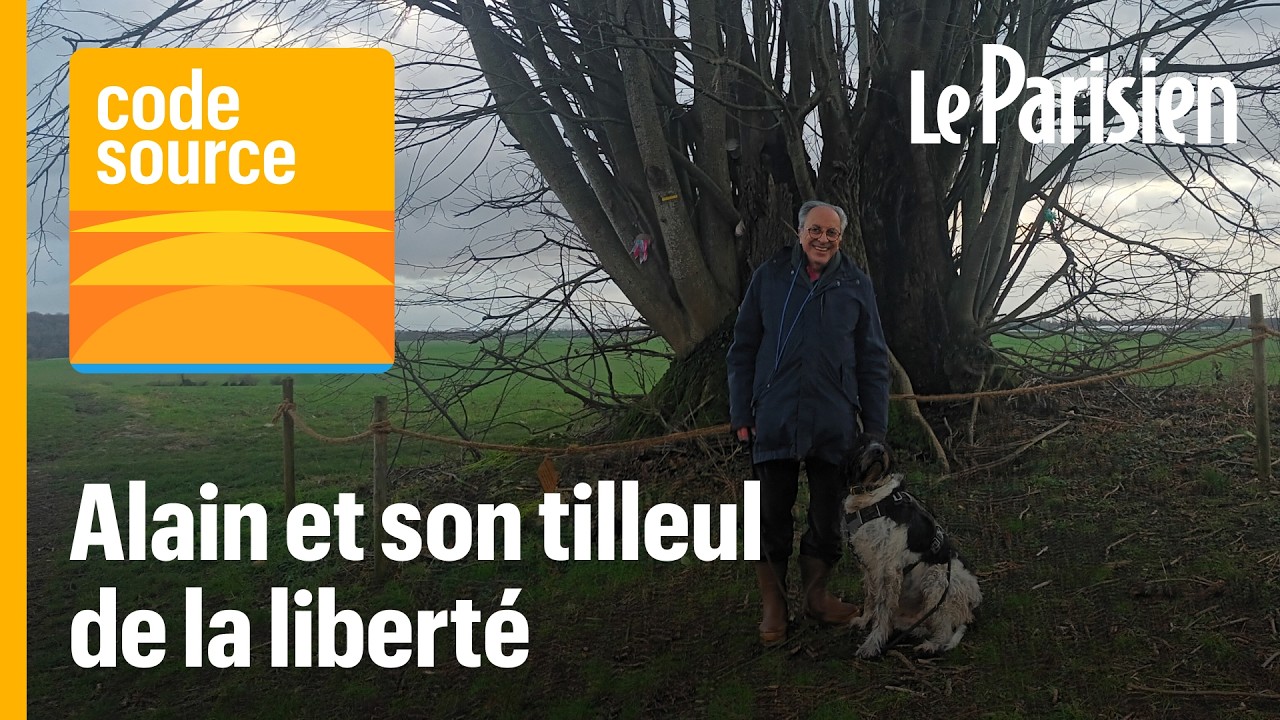 [PODCAST] La folle destinée d’un tilleul racontée par un féru d'Histoire