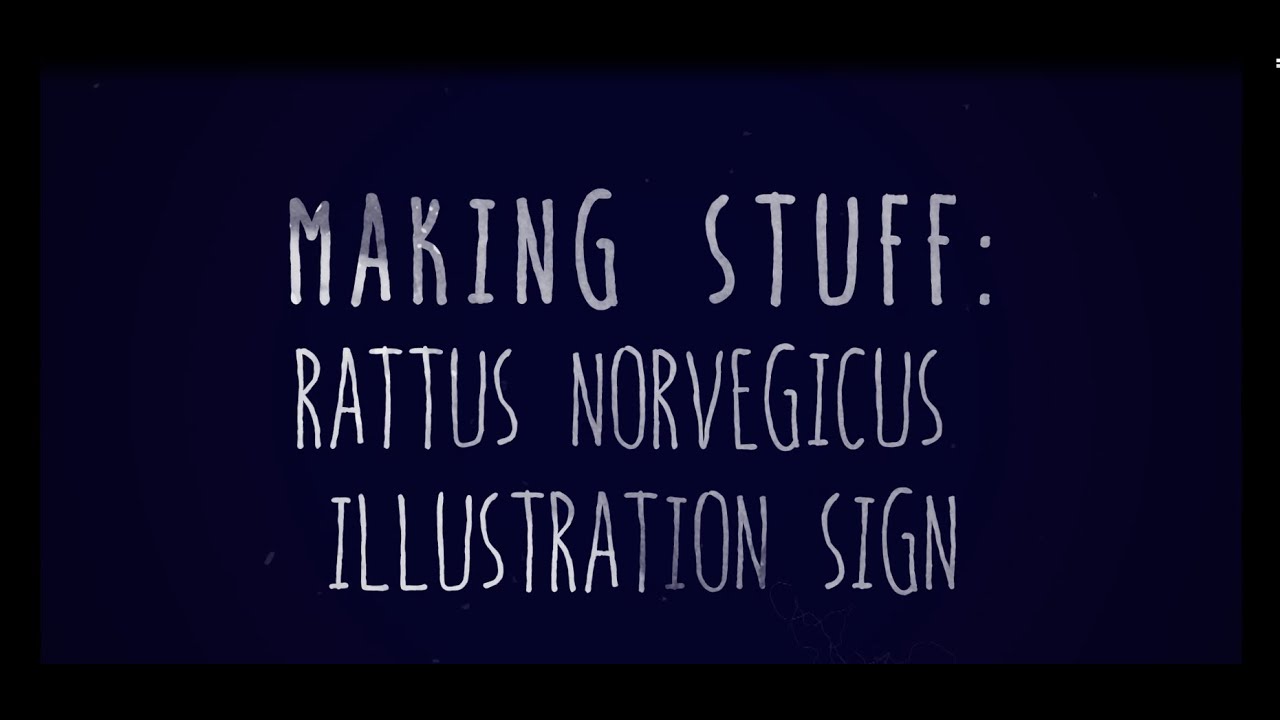 Making Stuff  Laser engraved Rattus Norvegicus Illustration sign