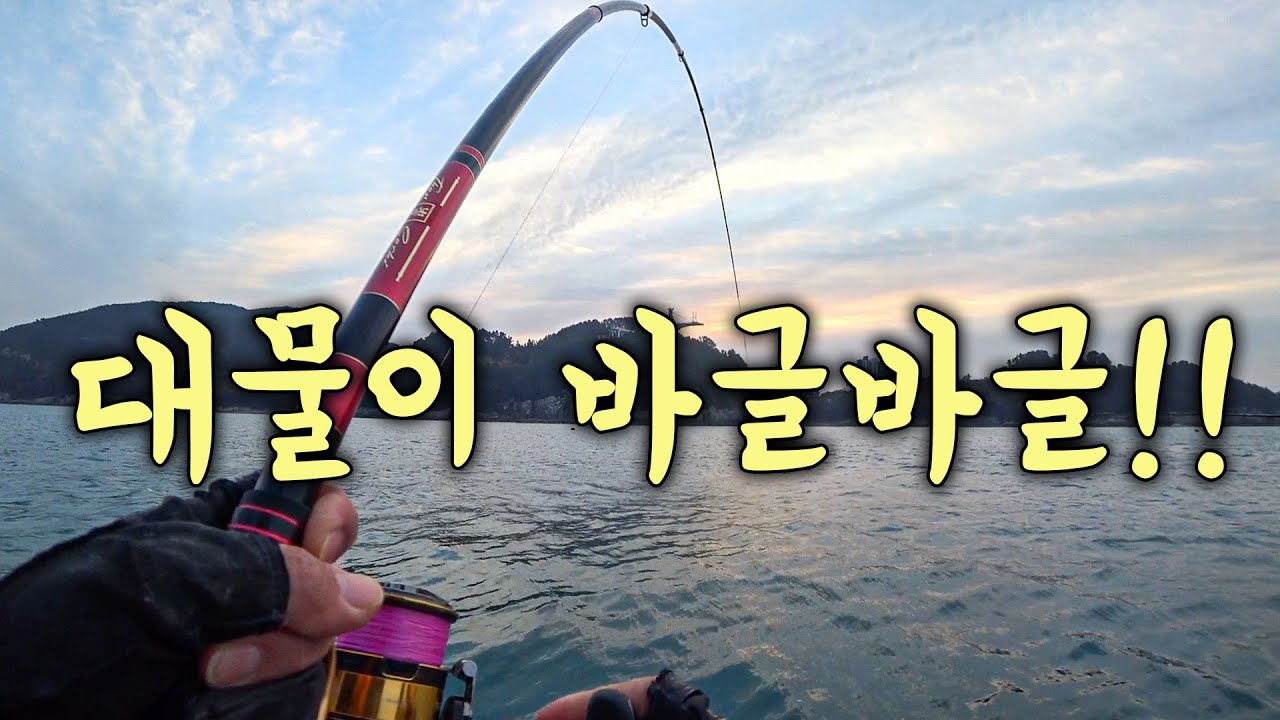 [다리tv] 최고의 찬스!! 덩치급 감성돔 계속 들어오는 중!!!