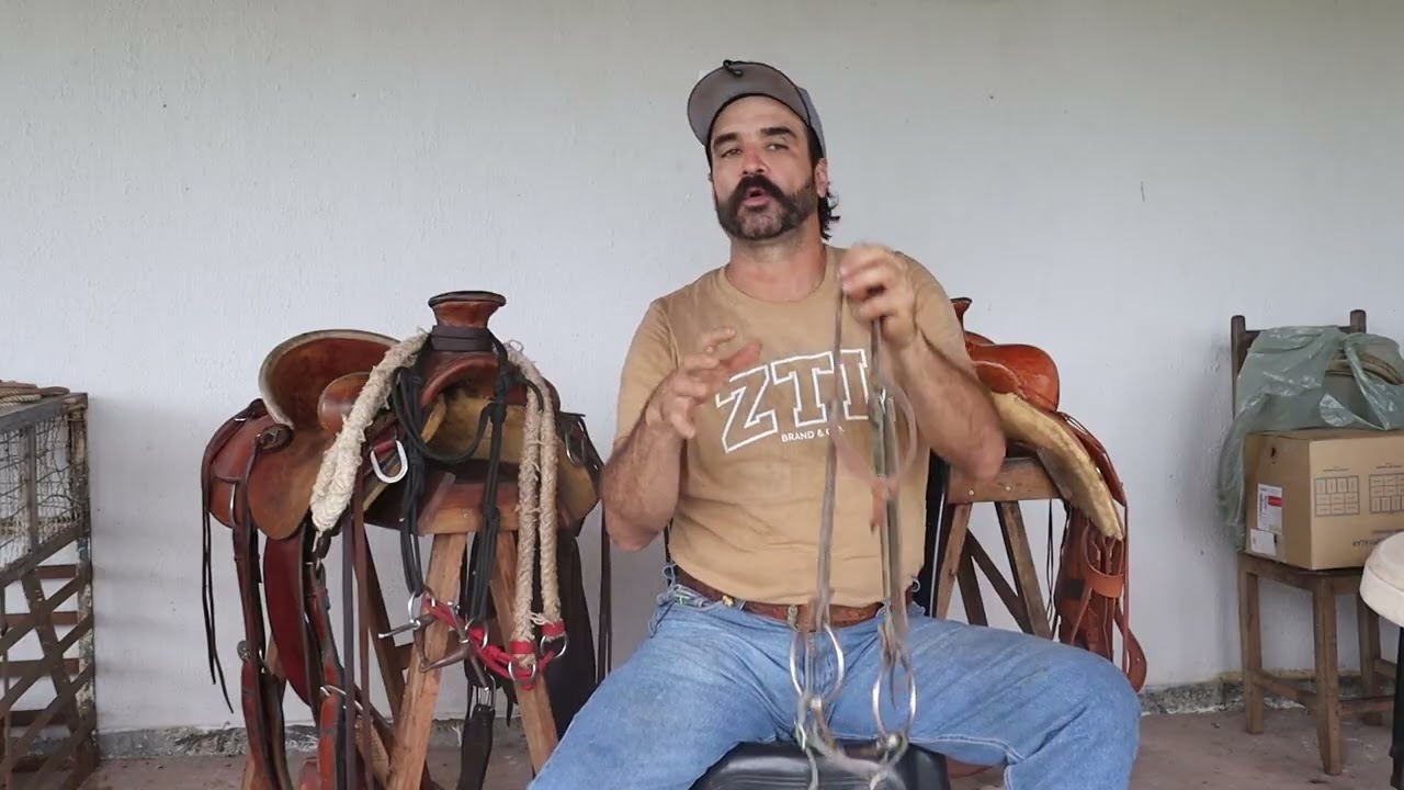 Você sabe escolher a embocadura certa para seu cavalo?