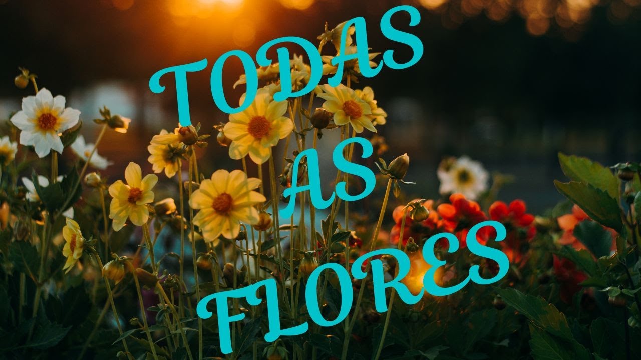 Todas as Flores (2022-2023) - Elenco (Globoplay)