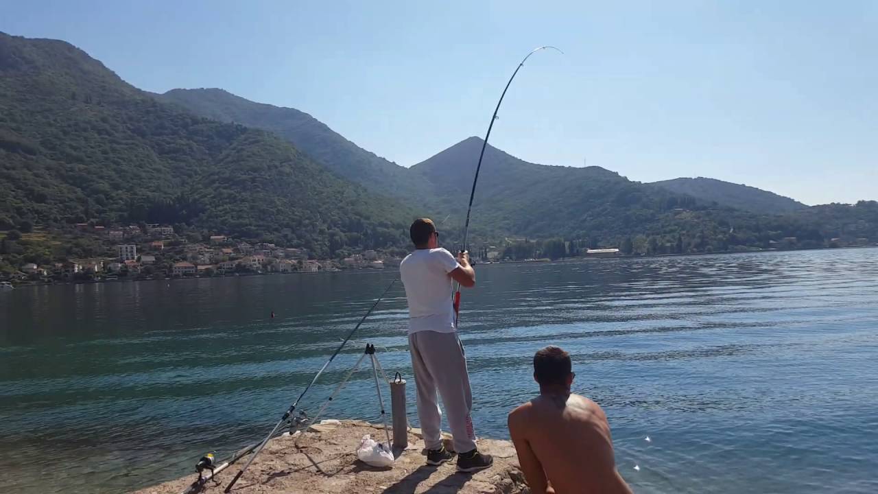 KOMARČA - 2 5KG - CRNA GORA
