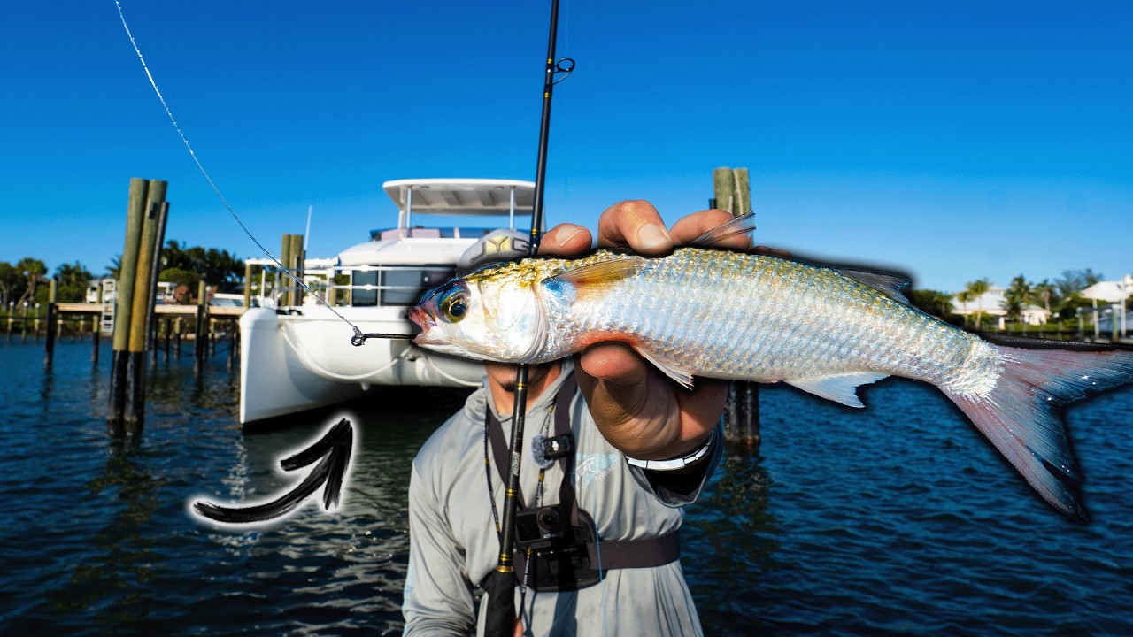 I Explored The Best Snook Fishing Methods For 4 Days...
