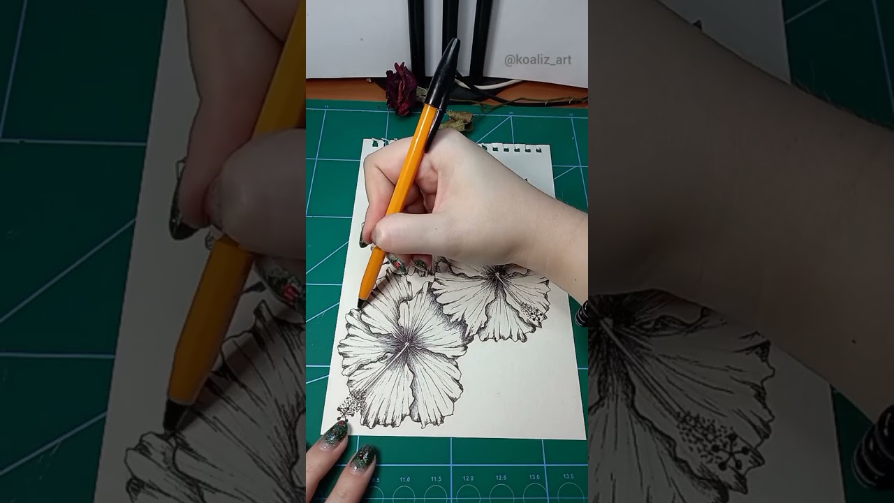 Hibiscus IG koaliz_art #art #shorts #sketchbook #ink #sketch #botanical #flowers #tropical #florals