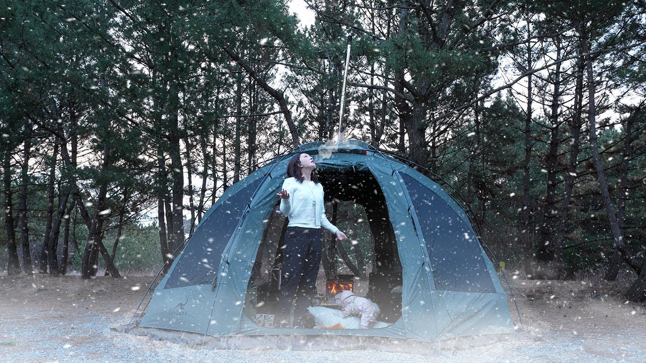 In Heavy Snow and Strong Wind | Winter Camping with My Dog