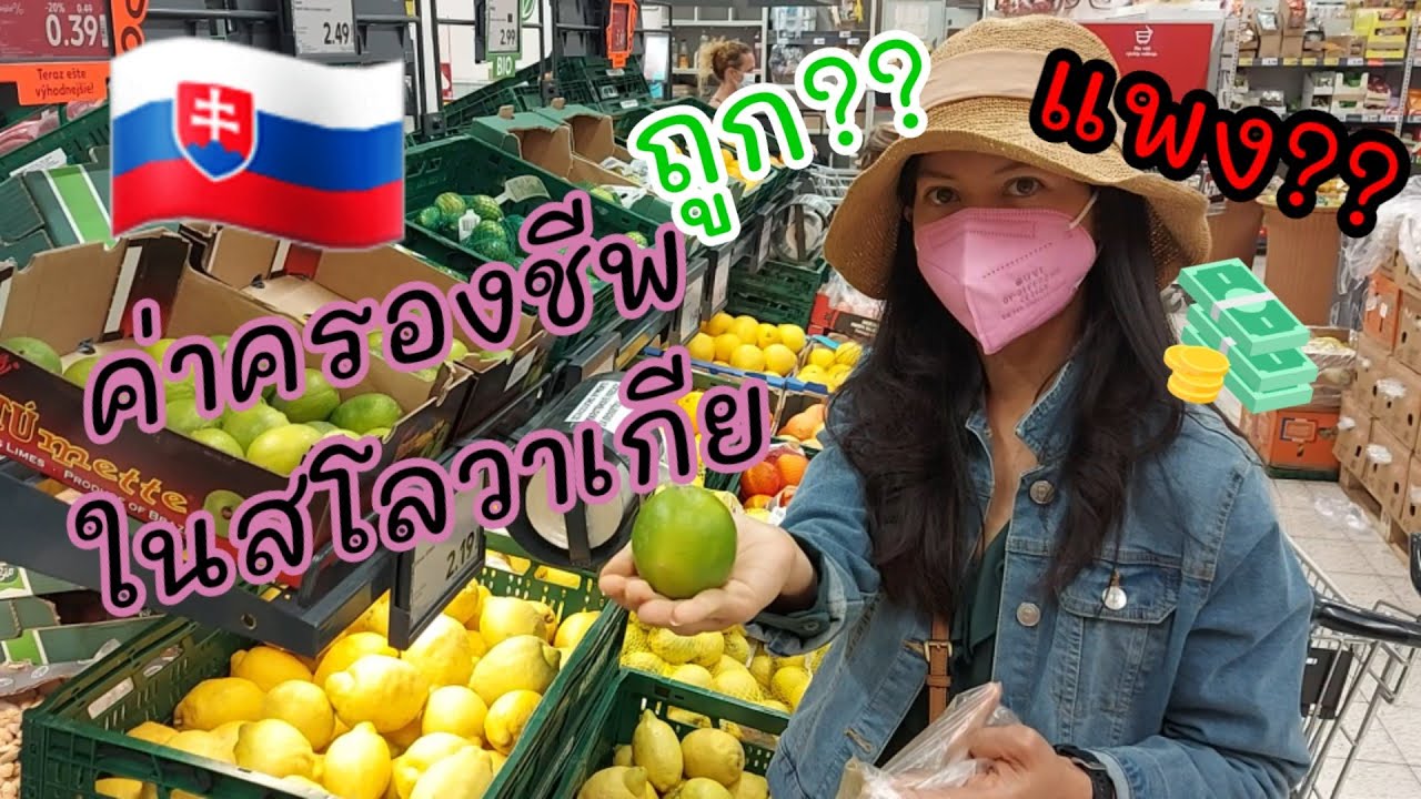 ชีวิตในสโลวาเกียตอนที่#16 ค่าครองชีพในสโลวาเกีย// ซื้อของเข้าบ้านอย่างไร//Expense in Slovakia