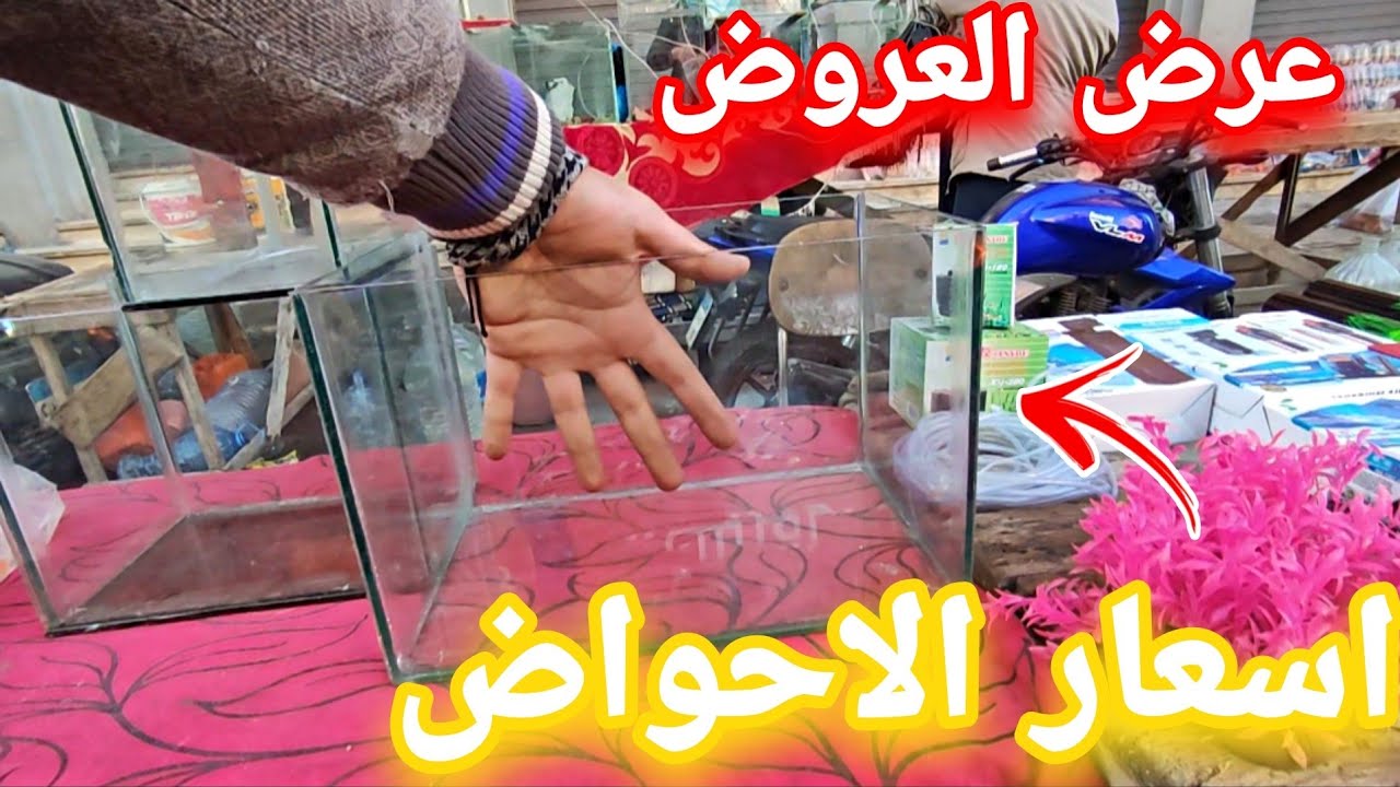 اسعار سوق الجمعه احواض اسماك الزينه بالاسعار