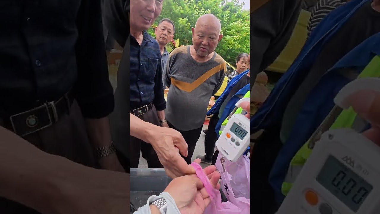遇到不喜欢的付款数字，你会少给一块钱还是多给一块钱？专治各种理由讲价。#原来钓鱼才是抖音运动顶流 #足斤足两 #我的摆摊日记 #路亚 #鳜鱼