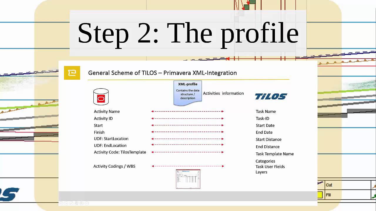 Video: How to transfer a Construction Project from Primavera to Tilos? - 20min Tutorial