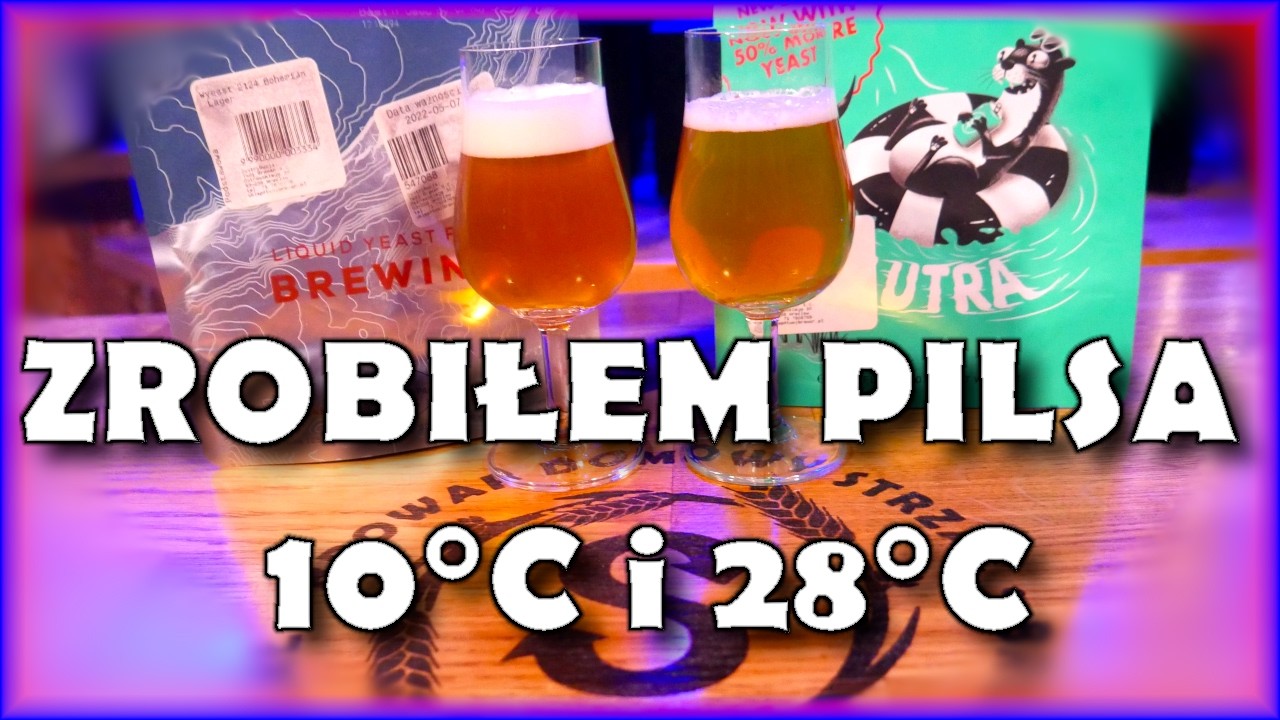 Warzenie piwa Pils oraz Kveik Pils
