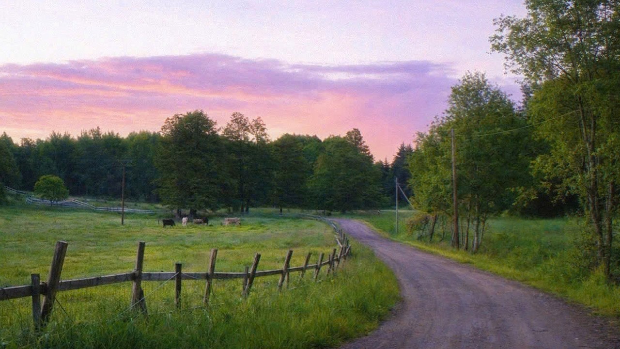 a quiet playlist for quiet hours 🍃 (a playlist for reading, writing, studying)