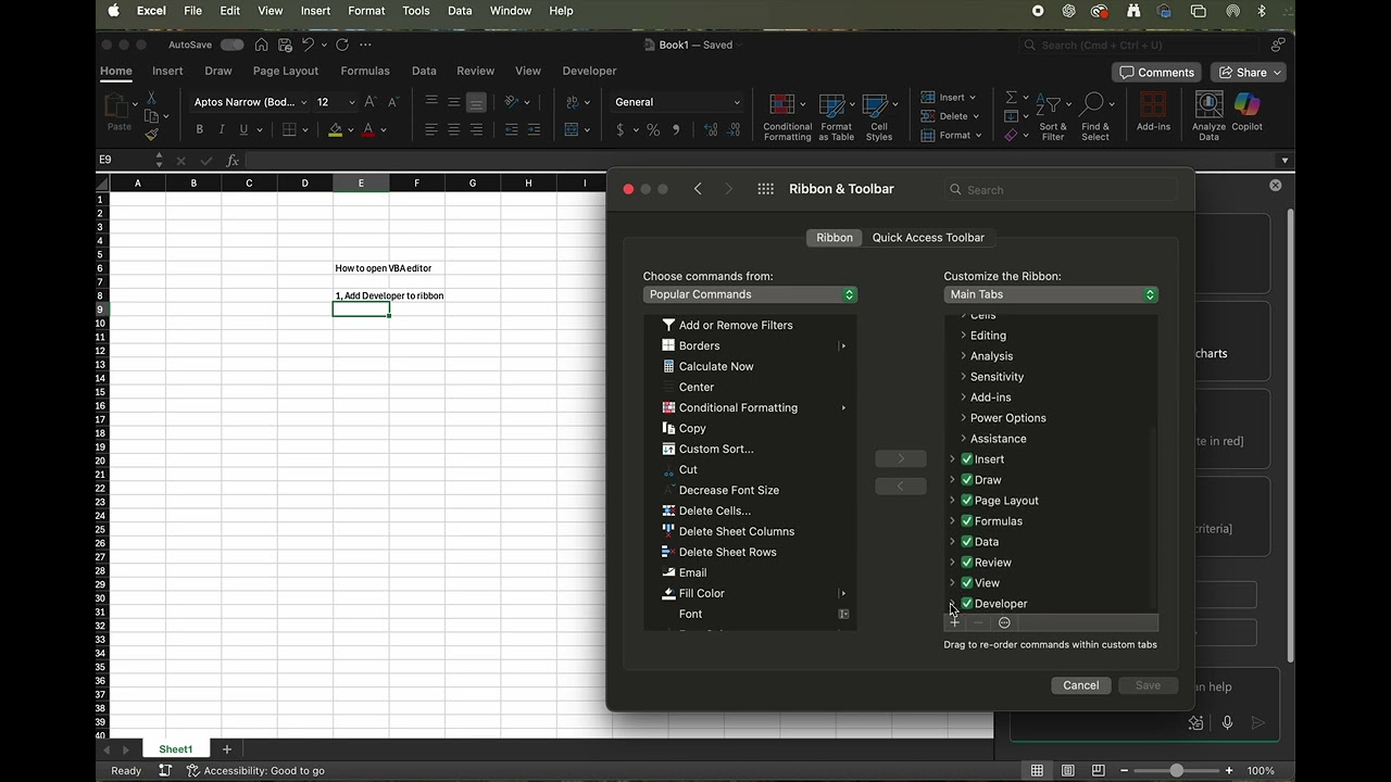 Open VBA in Excel for Mac