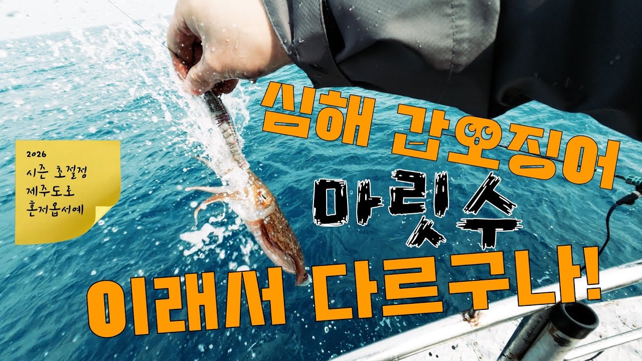 심해 갑오징어 마릿수, 이거 하나로 갈립니다 (이것만 기억하세요)
