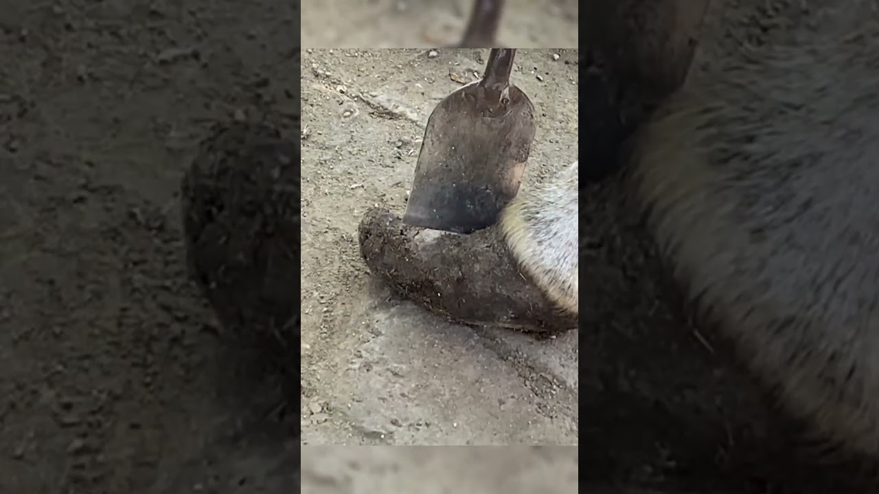 Revolutionizing Rural Farming: Support Plans for Farmers' Success