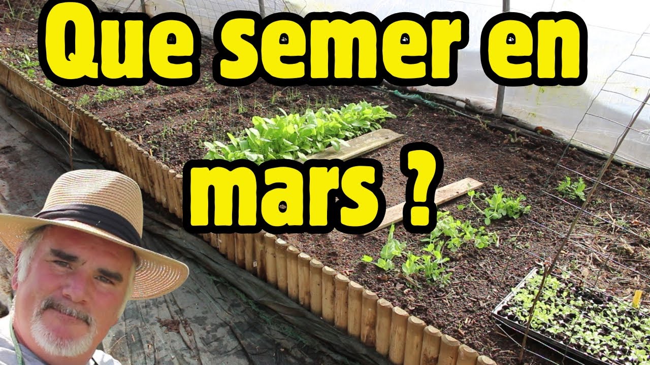 10 légumes à semer dès le début du mois de mars pour un potager réussi.