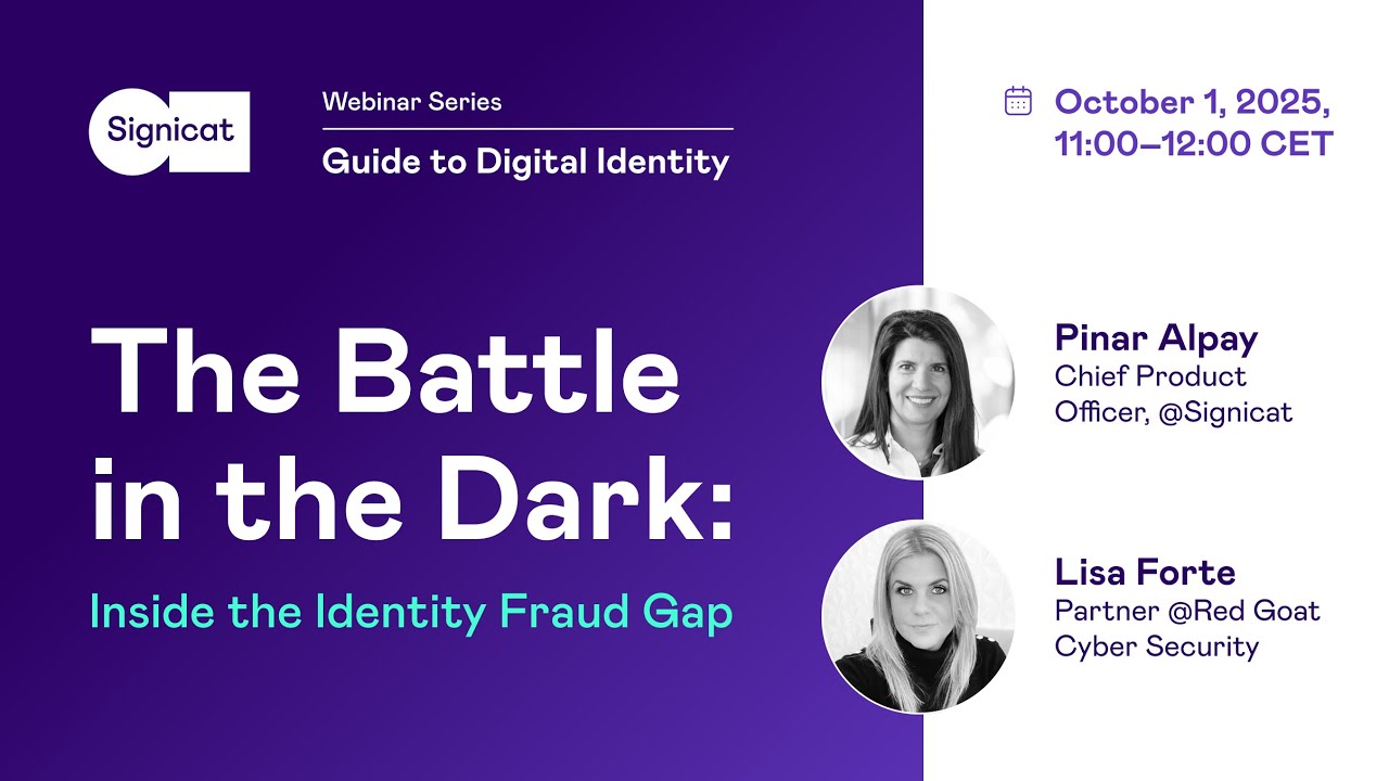 The Battle in the Dark: Inside the Identity Fraud Gap