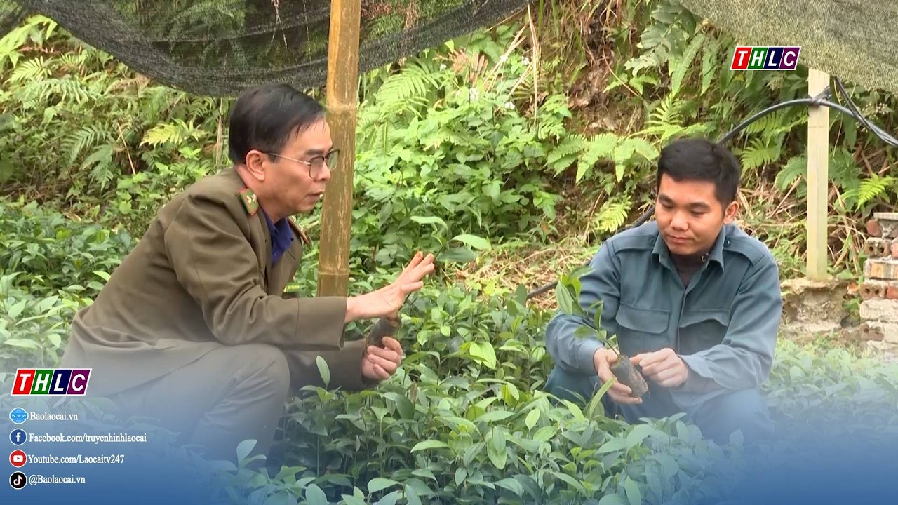 Nông nghiệp - Nông thôn: Nông nghiệp - Môi trường (17/2/2026)  | THLC