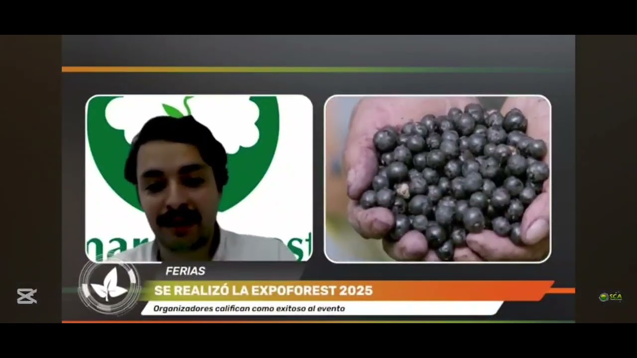 Expoforest 2025 destacó la sinergia entre el sector forestal y la construcción