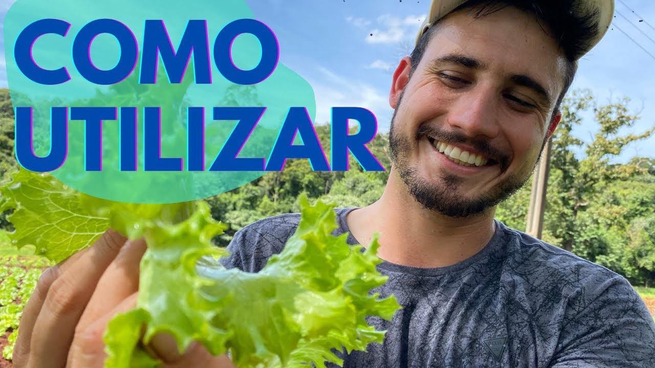 ADUBAÇÃO FOLIAR NAS HORTALIÇAS
