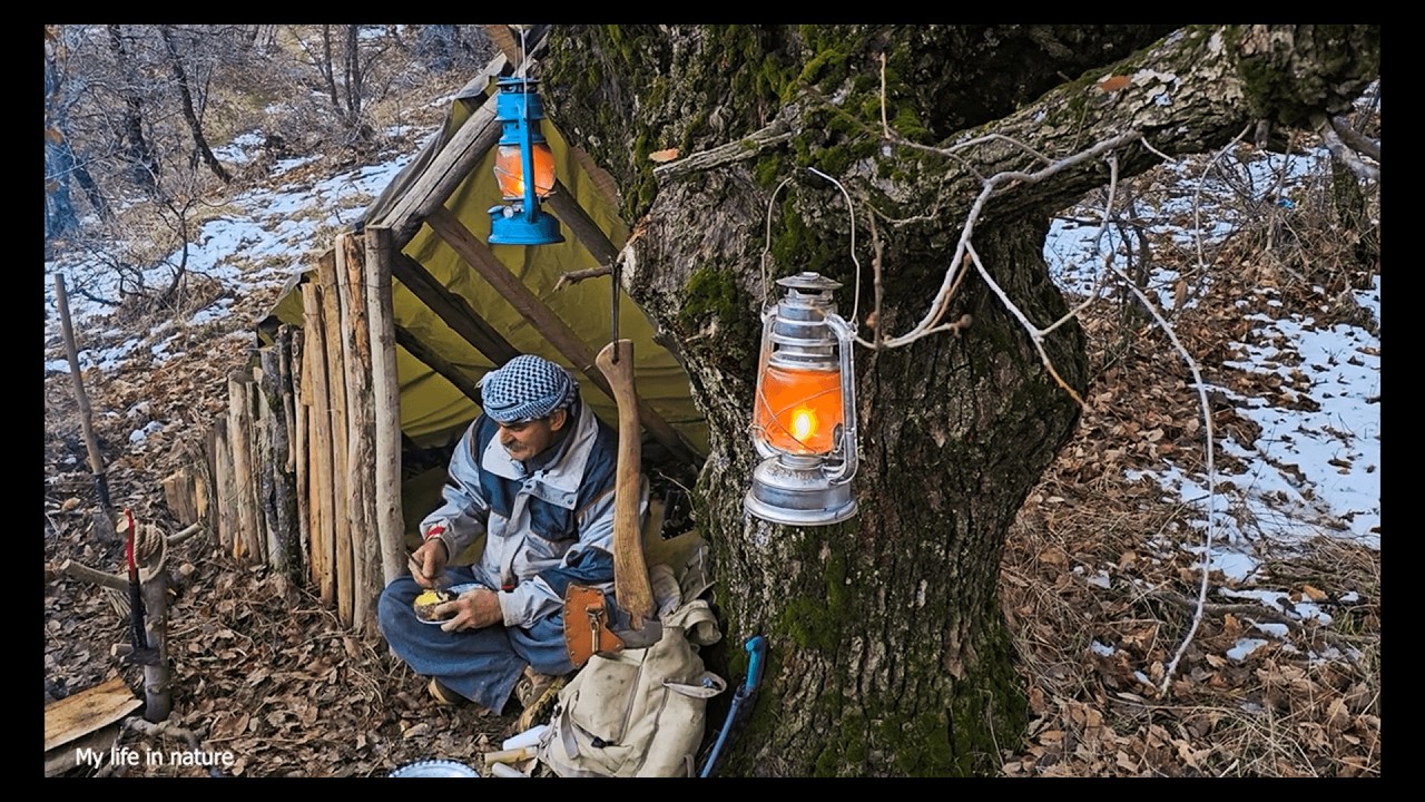 Camping under an ancient tree, barbecuing, cooking, and spending the night