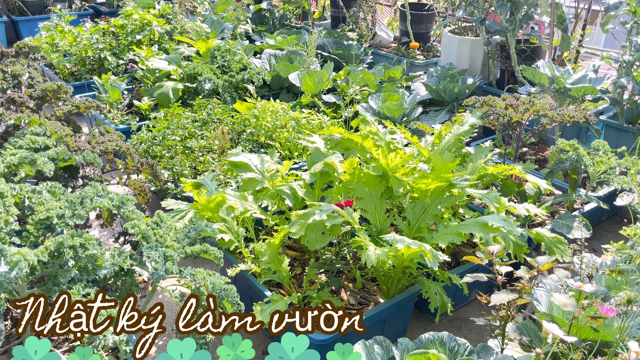 183 GỢI Ý SÁCH HƯỚNG DẪN LÀM VƯỜN hữu cơ thuận tự nhiên bản tiếng Việt cho người trồng rau tại nhà