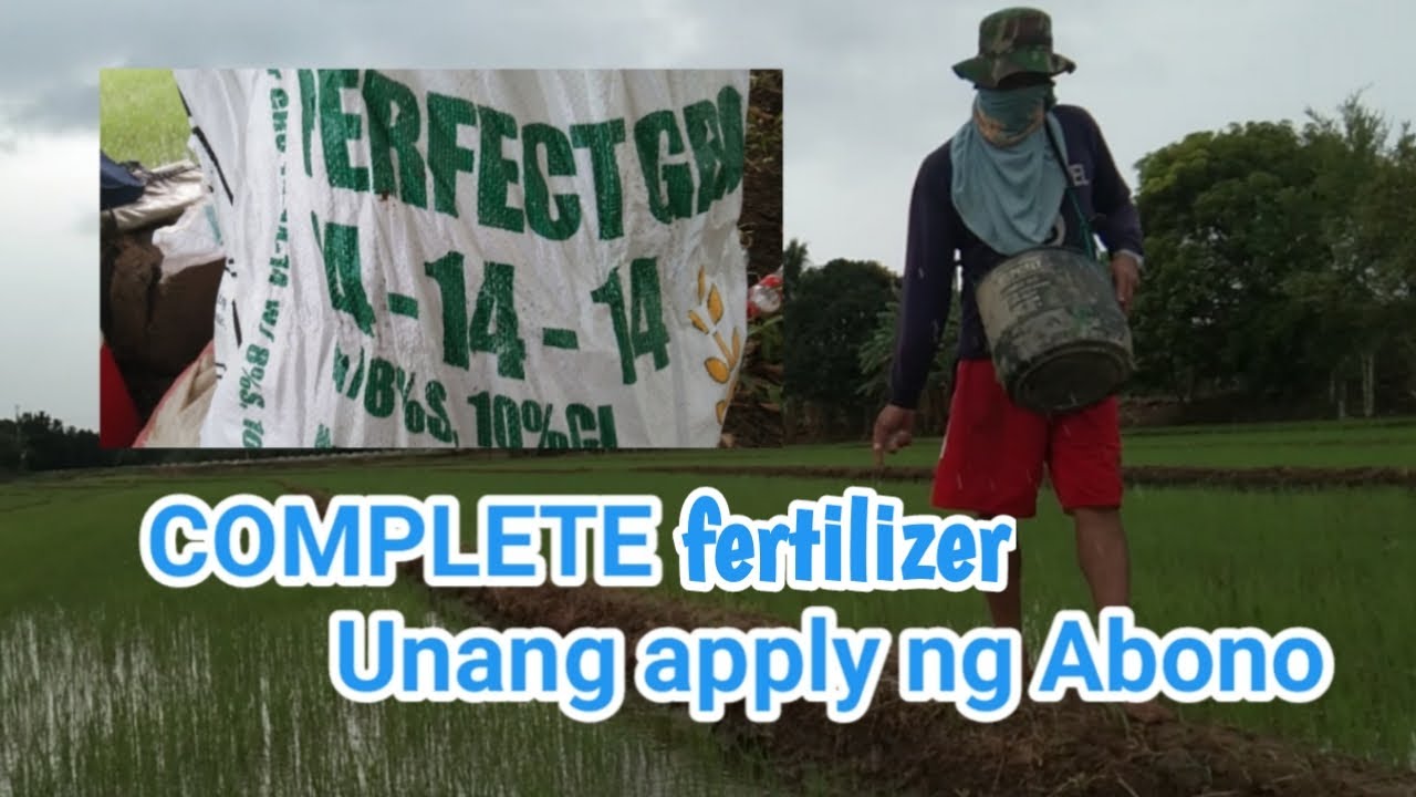 Complete Fertilizer sa unang Sabog