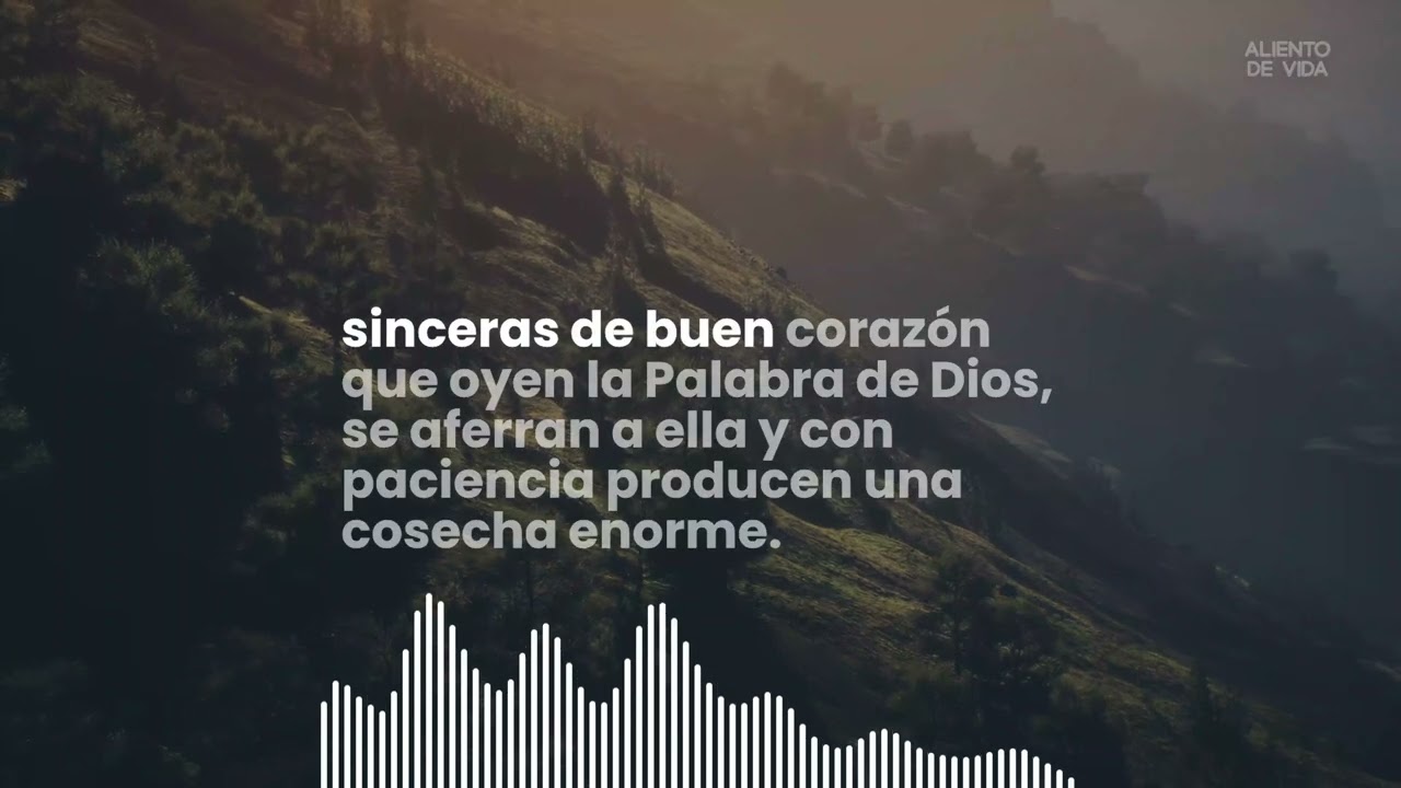 EL TERRENO DEL CORAZÓN (LA PARÁBOLA DEL SEMBRADOR)