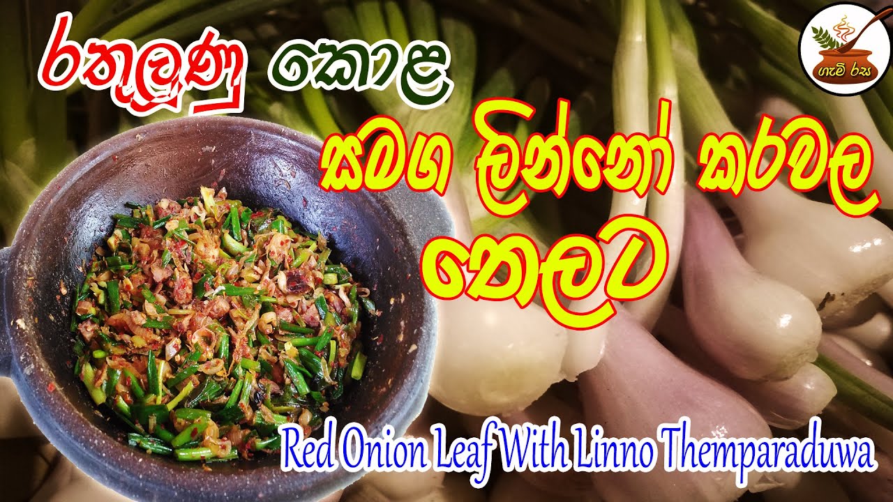 රතුළුණු කොළ සමග ලින්නෝ කරවල තෙලට  RED ONION LEAF WITH LINNO KAROLA THEMPARADUWA