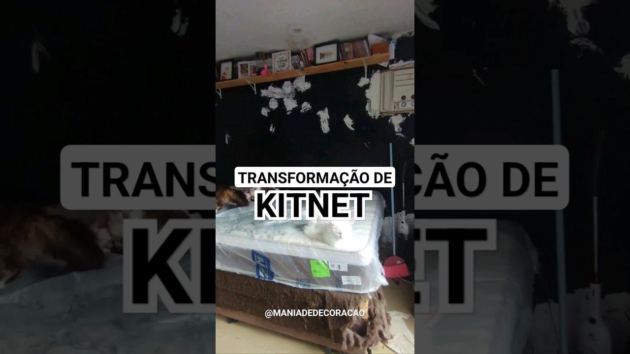 Transforma&ccedil;&atilde;o INCR&Iacute;VEL de KITNET!