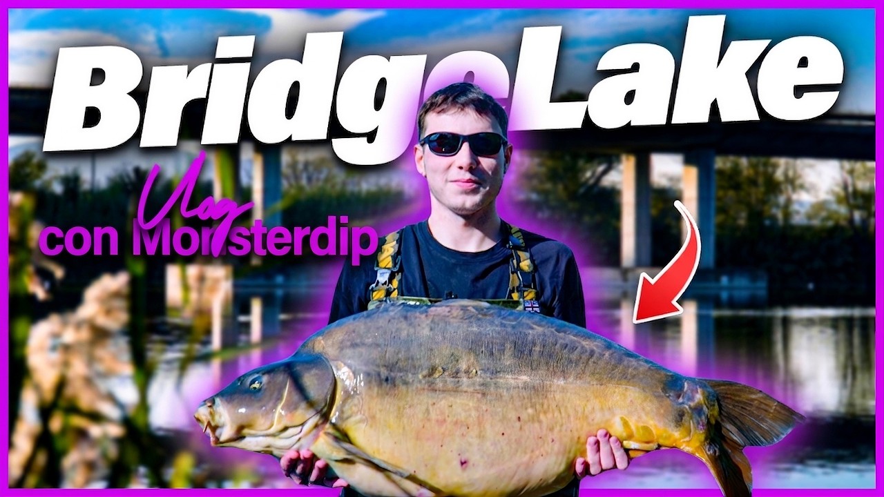 BRIDGELAKE: La Strategia VINCENTE 🌉 | CARPFISHING