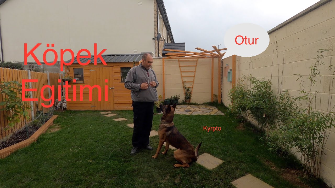 Dog training Köpeğinizi Eğitmenin Kolay Yolu 1. Bölüm